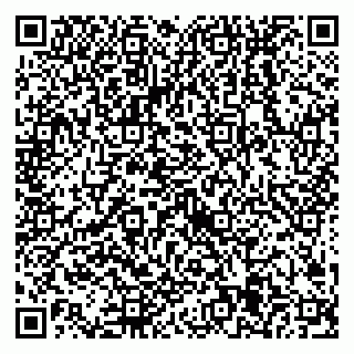 vCard 79538205442