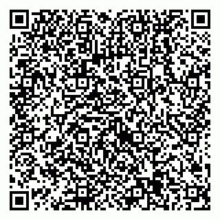vCard 79538205447