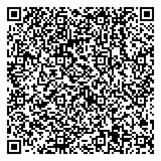 vCard 79538205449