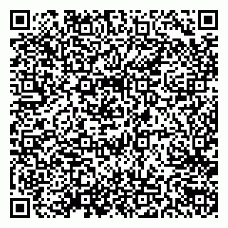 vCard 79538205453