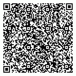 vCard 79538205460