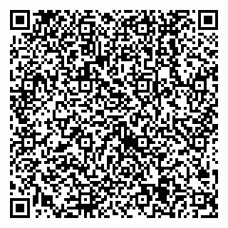 vCard 79538205462