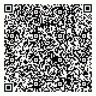 vCard 79538205473