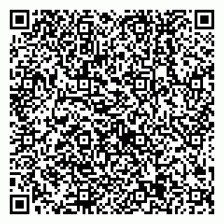 vCard 79538205476