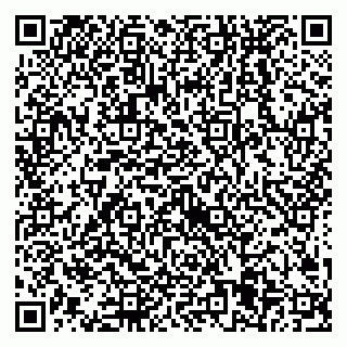 vCard 79538205478