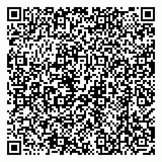 vCard 79538205480