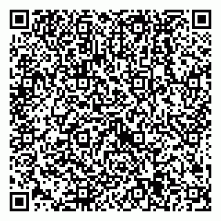 vCard 79538205483