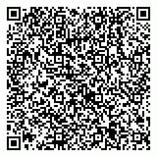 vCard 79538205491