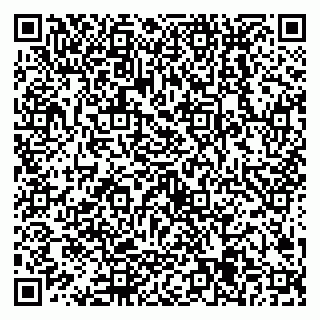 vCard 79538205493
