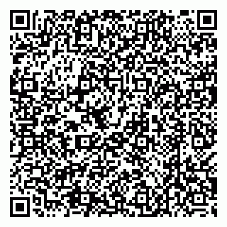 vCard 79538205494