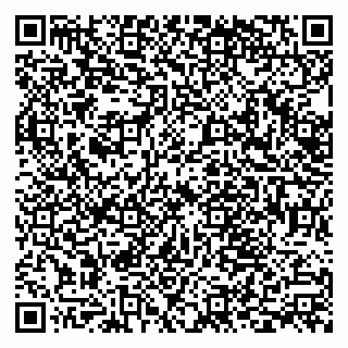 vCard 79538205495