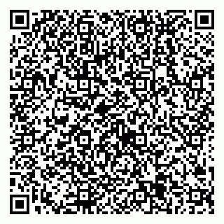 vCard 79538205497