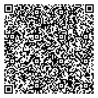 vCard 79538205500