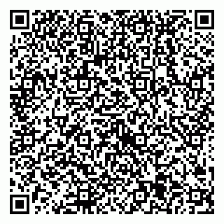 vCard 79538205502