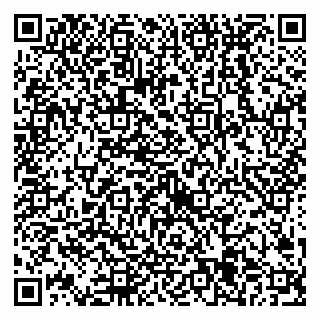vCard 79538205503