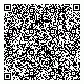 vCard 79538205504