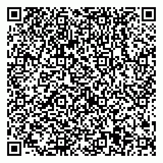 vCard 79538205508