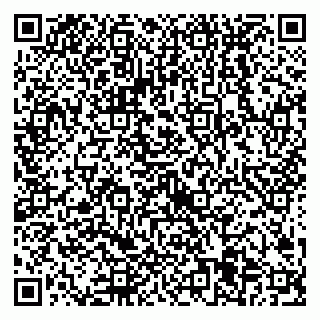 vCard 79538205509