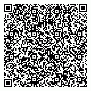 vCard 79538205513