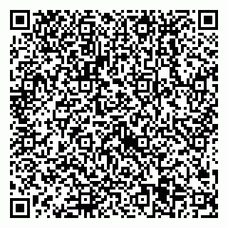 vCard 79538205519