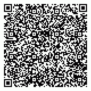 vCard 79538205533