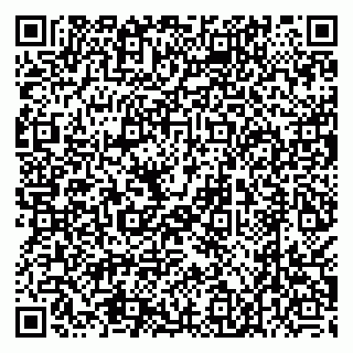 vCard 79538205534