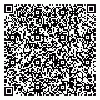 vCard 79538205538