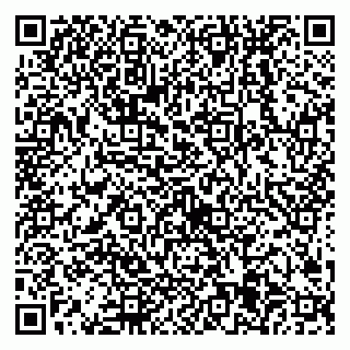 vCard 79538205540