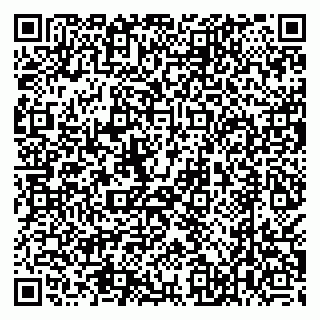 vCard 79538205541