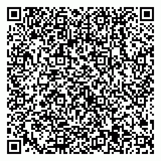 vCard 79538205551