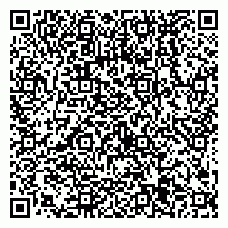 vCard 79538205573