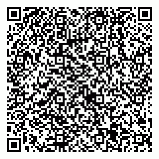 vCard 79538205581