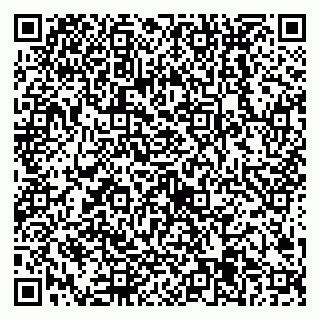 vCard 79538205585