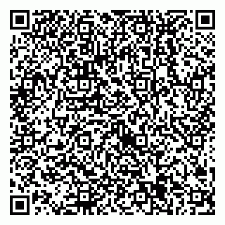 vCard 79538205597