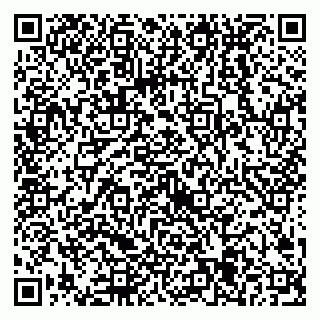 vCard 79538205603
