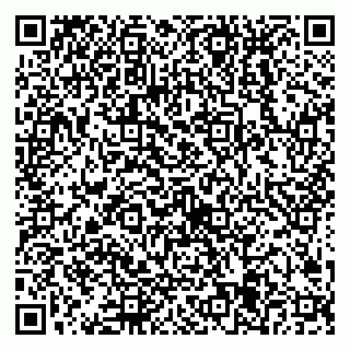 vCard 79538205611