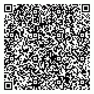 vCard 79538205613