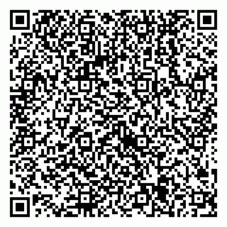 vCard 79538205663