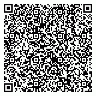 vCard 79538205667