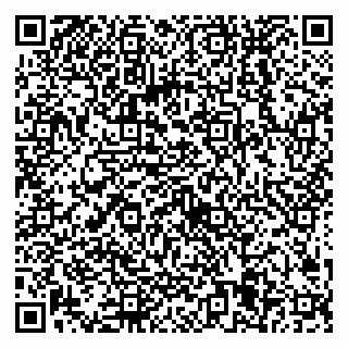 vCard 79538205678