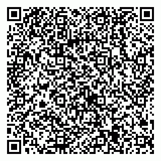 vCard 79538205683