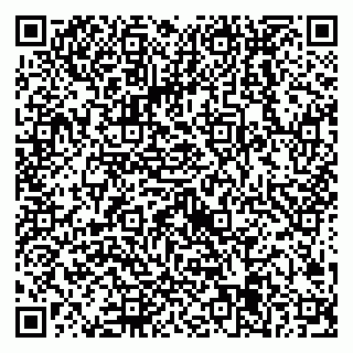 vCard 79538205685