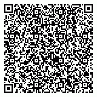vCard 79538230581