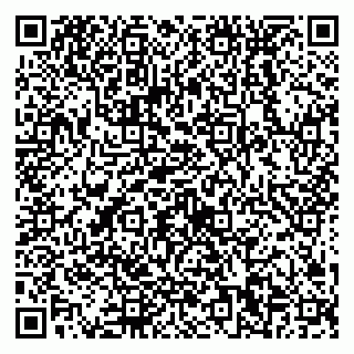 vCard 79538230589