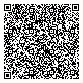 vCard 79538230602