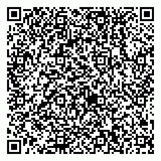 vCard 79538230613