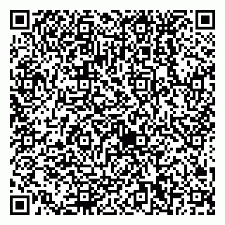 vCard 79538230629
