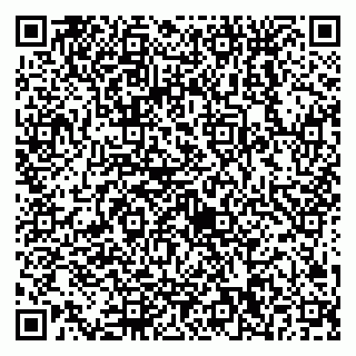 vCard 79538230633