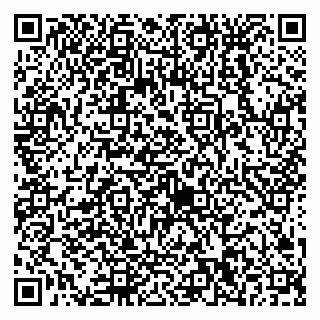 vCard 79538230653