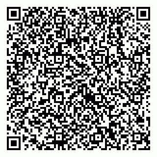 vCard 79538230673
